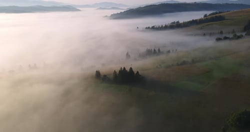 Foggy Valley Aerial View at Sunrise