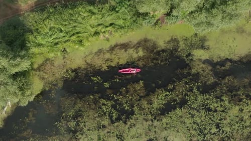Drone top view of woman floating in kayak on river. Female tourist kayaking at sunset.