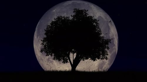 Nighttime Silhouette Tree Animation with Full Moon and Flying Birds