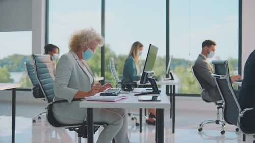 Employees Work at Computers in Bright Office