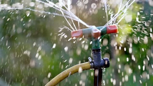 Automatische Rasenbewässerungs-Sprinkler-Bewässerungsanlage bei Sonnenuntergang