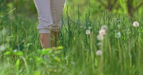 Legs in Sneakers are Walking in the Grass