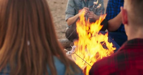 Close View of Friends Roasting Marshmallows Sitting Around Bonfire on Sandy Beach