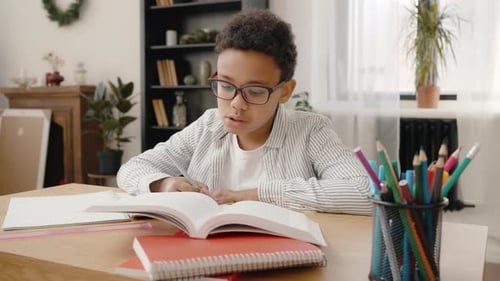 Young Boy Studying at Desk in Bright Room