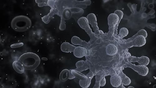 3D Animated Microscopic Virus and Blood Cells Loop