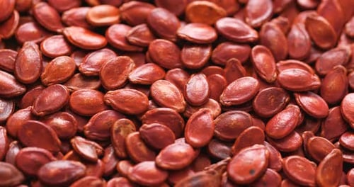 Red Melon Seed