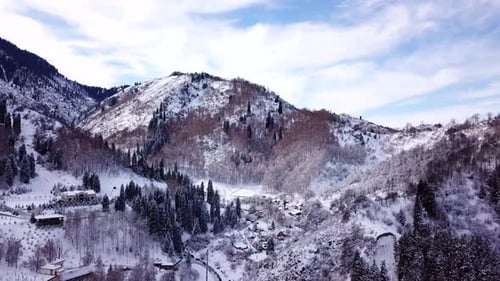 Winter Forest and High Mountains Covered with Snow