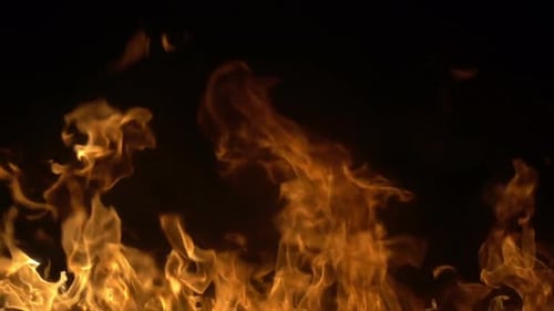 Feuerlinie 13
