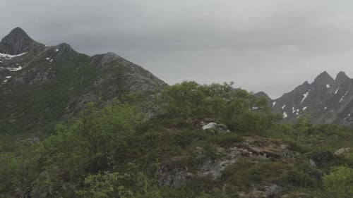 Green Mountain