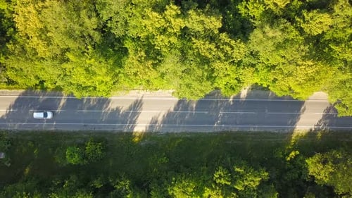 Auto auf der Straße