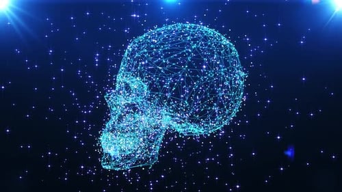 Futuristic Digital Skull Wireframe Rotation Loop