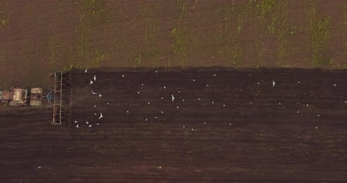 Sowing Campaign in Agriculture Region Aerial View of Tractor with Plow on Field Prores