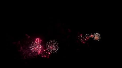 Colorful firework lights in the night sky.
