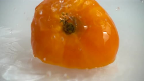 Tomato Falling