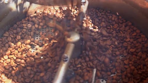 Coffee Beans Roasting in a Metal Machine