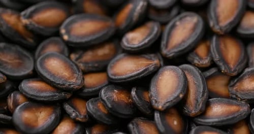 Stack of black melon seed