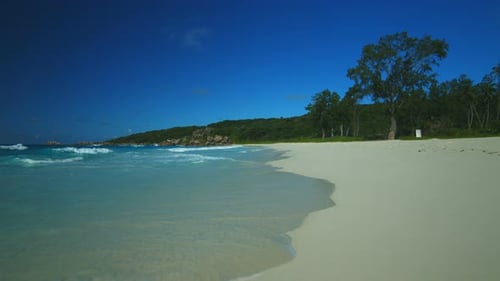 Hovering Above Wet Sandy Beach