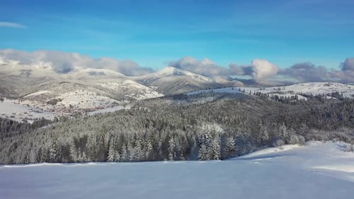 Aerial View on Forest and Mountains in The Winter Time