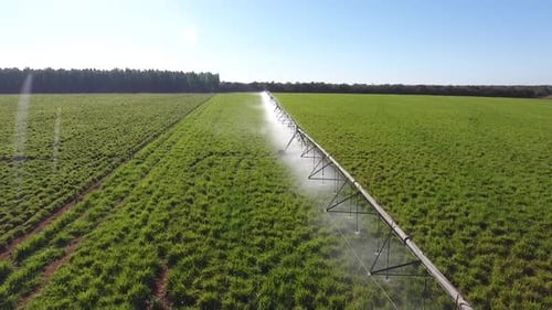 054 Agro Diverso