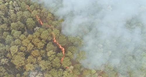 Panorama aerial wildfire is burning trees dry grass in the forest in California