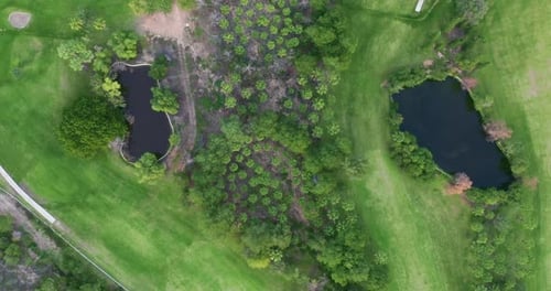 Aerial View. Golf Course with Green Field in the Valley. Green Turf Scenery.