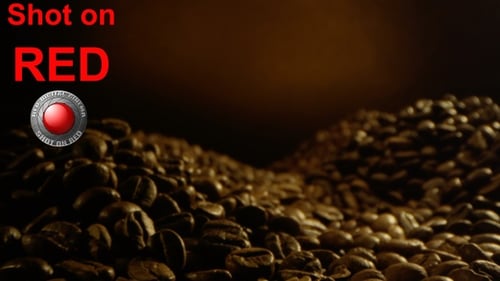 Rich Coffee Beans in Warm Light