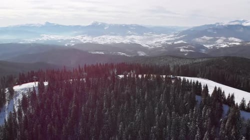 Aerial Ski Slopes with Skiers and Ski Lifts on Ski Resort. Snowy Mountain Forest