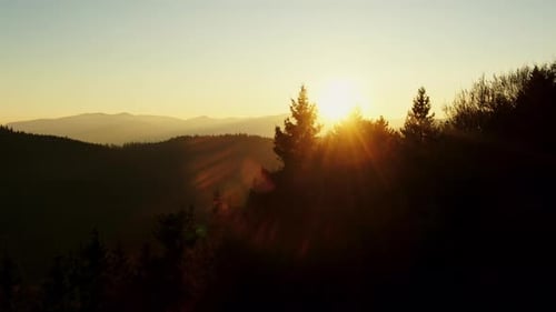 Trees Against Mountains and Sundown Sky