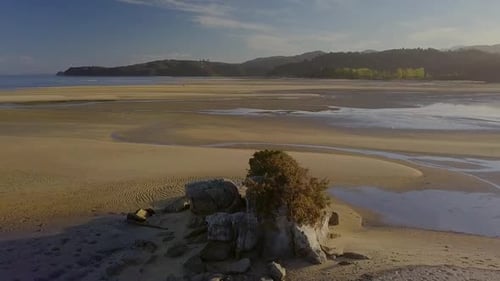 Wunderschöne Strandantenne