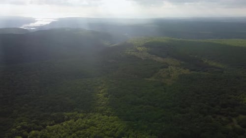 Valley Covered with Deciduous Forest Aerial View