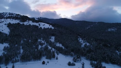 Paysage d'hiver survolant des arbres enneigés