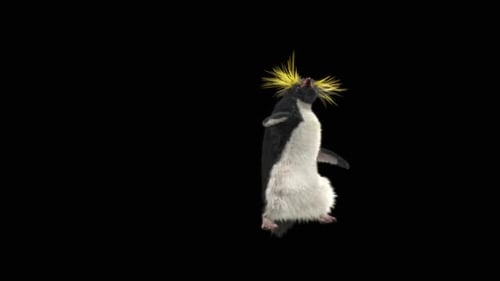 87 Pinguin Samba: Tanzen HD