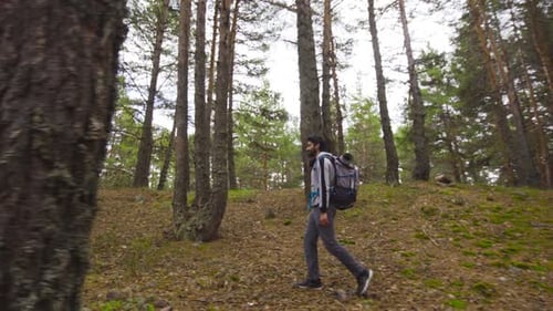 Mann geht im Wald spazieren.