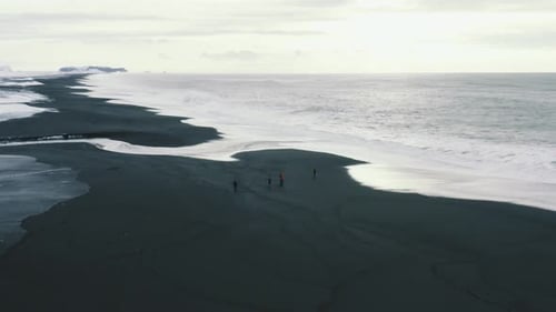 Aerial Drone View of Company of Friends Walking on Volcanic Black Sand Beach in Iceland and Having