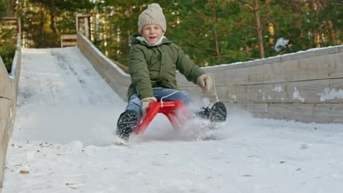 Happy Boy auf dem Schlitten