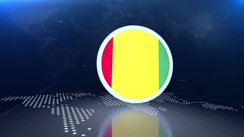 Guinea Flag Transition