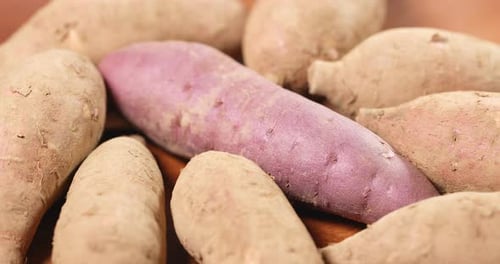 Close Up of Fresh Raw Sweet Potatoes