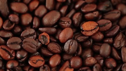 Close Up of Rich Dark Coffee Beans