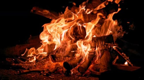 Close-up of Fiery Campfire Blazing at Night