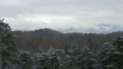 Pan right of forest and mountains on a winter day
