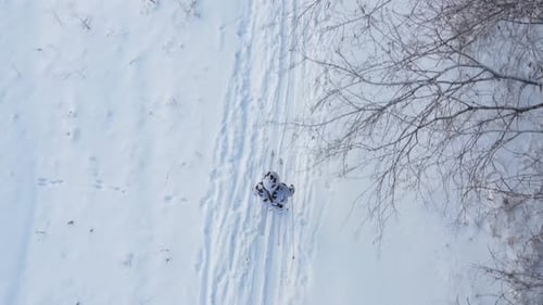 Aerial View of Skier Exercising on Winter Day