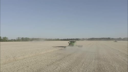 Combine Harvesting Wheat Top View of a Wheatfield