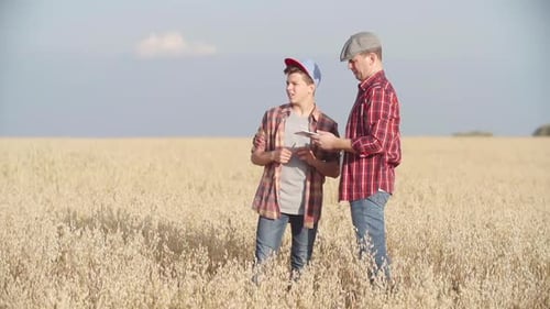 Teen and Adult Discussing Agriculture in Grain Field