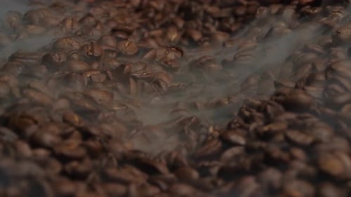Nahaufnahme von Kaffeesamen