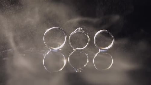 Three Elegant Rings on a Black Surface