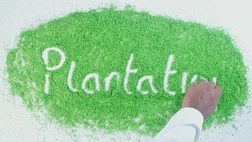 Green Hand Writing Plantation