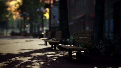 Serene Park Bench with Dynamic Light and Shadow Play