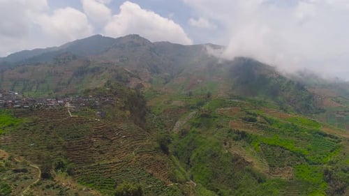 Mountainous Landscape with Terraced Farming and Village