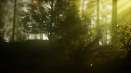Firefly in Misty Forest with Fog