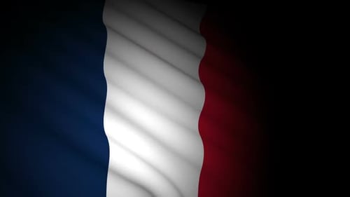 Waving French Flag Seamless Loop Animation